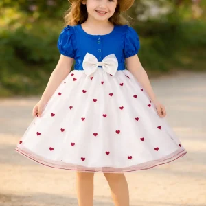 Baby Party Dress  Blue Color Size 1-3 Year